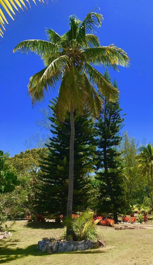 Poponi House Home North Palmetto Point Esterno foto